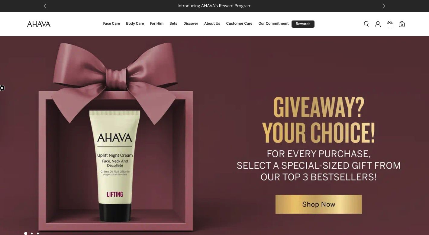 AHAVA Website