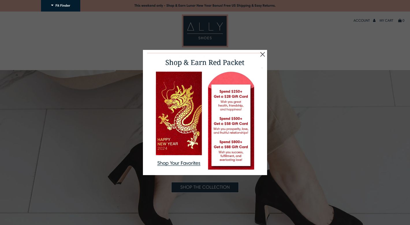 ALLY Shoes Website