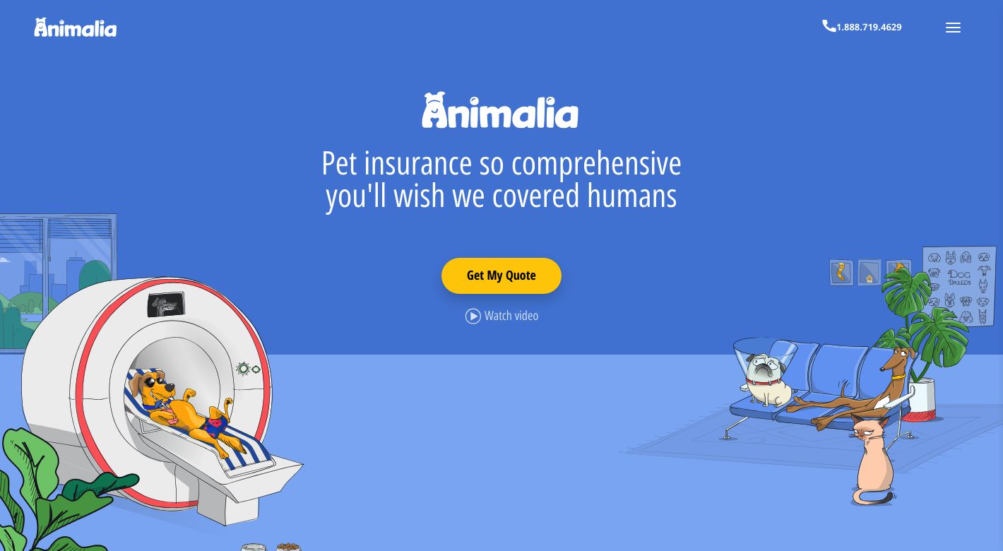 Animalia Website