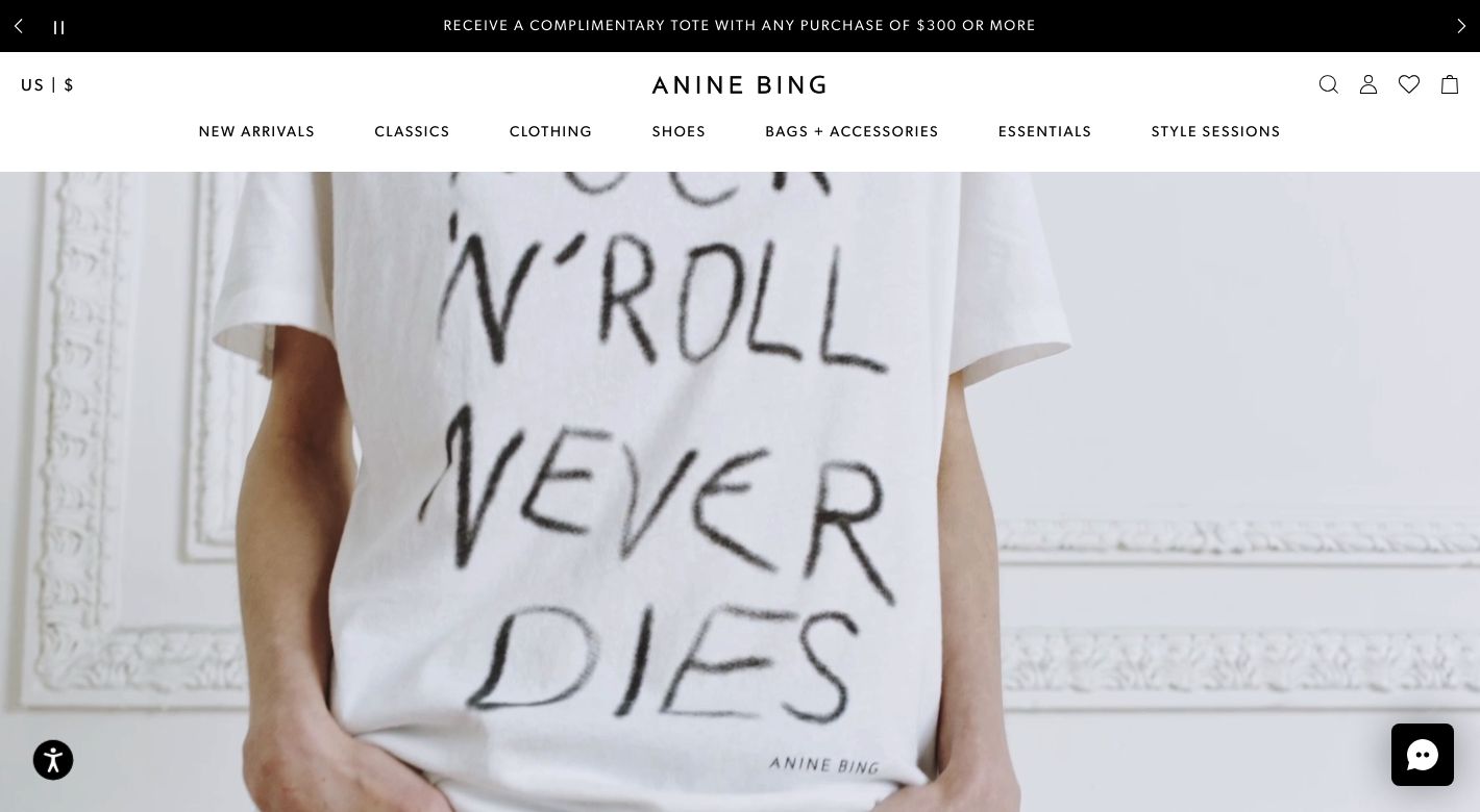 Anine Bing Website