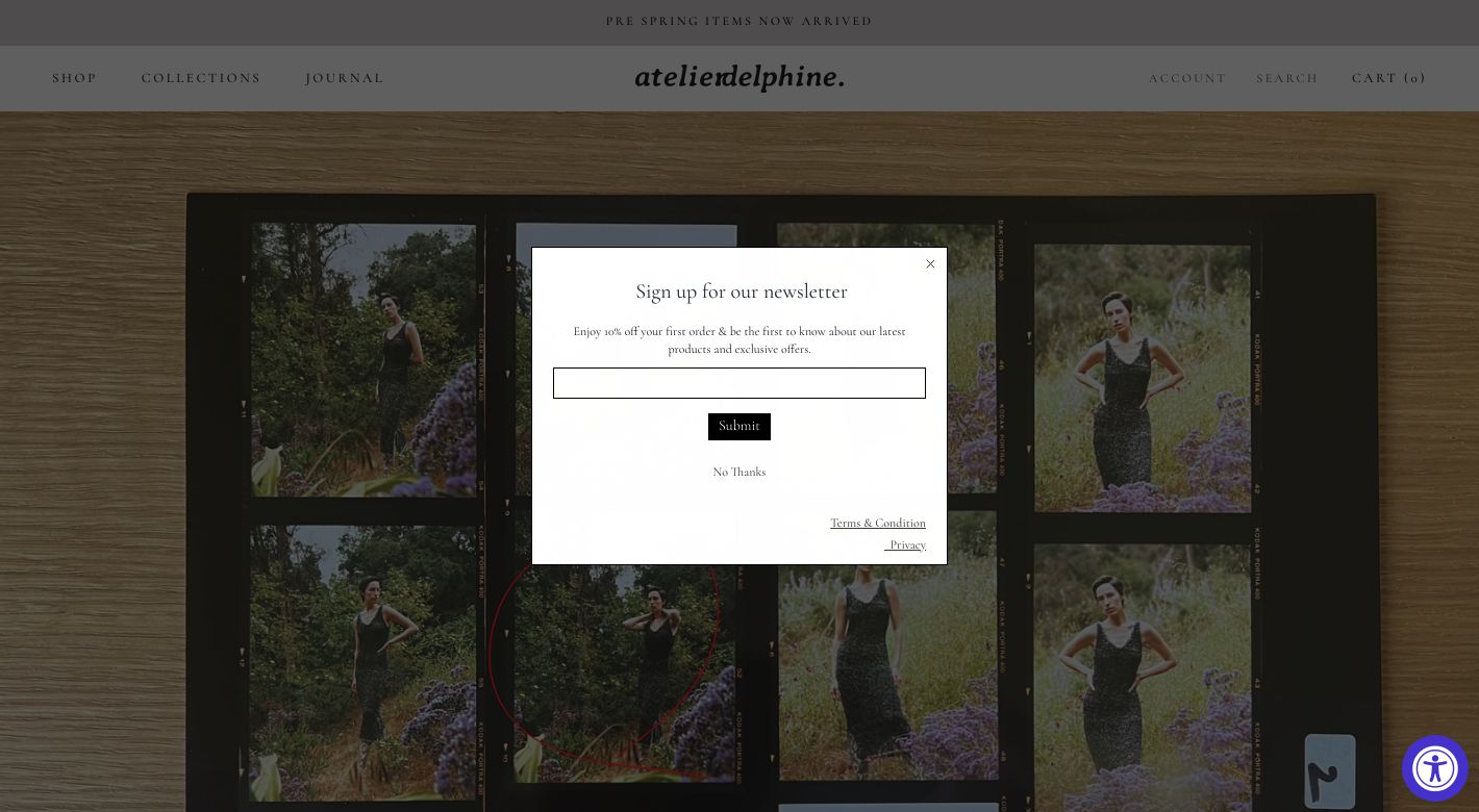 Atelier Delphine Website