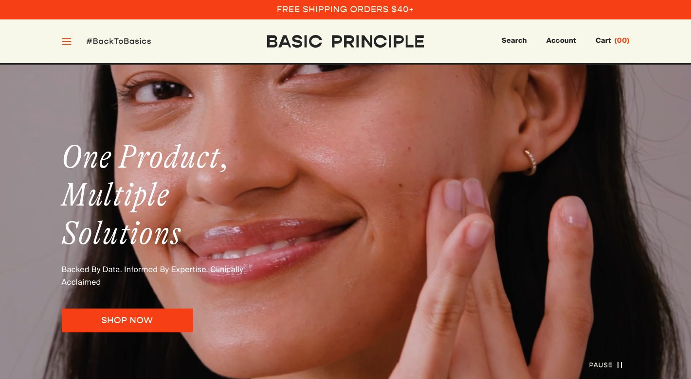 Basic Principle Website