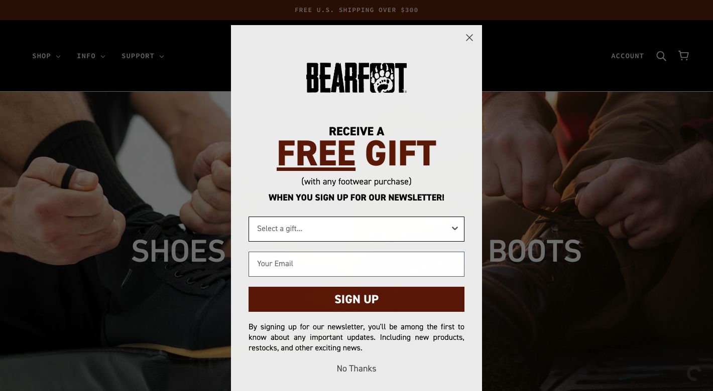 Bearfoot Shoes Website