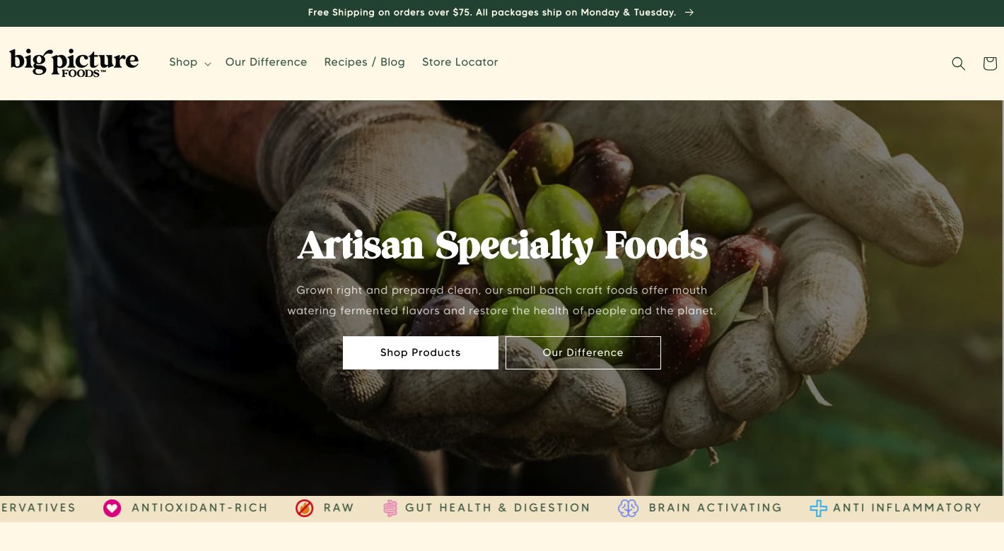 Big Picture Foods Website