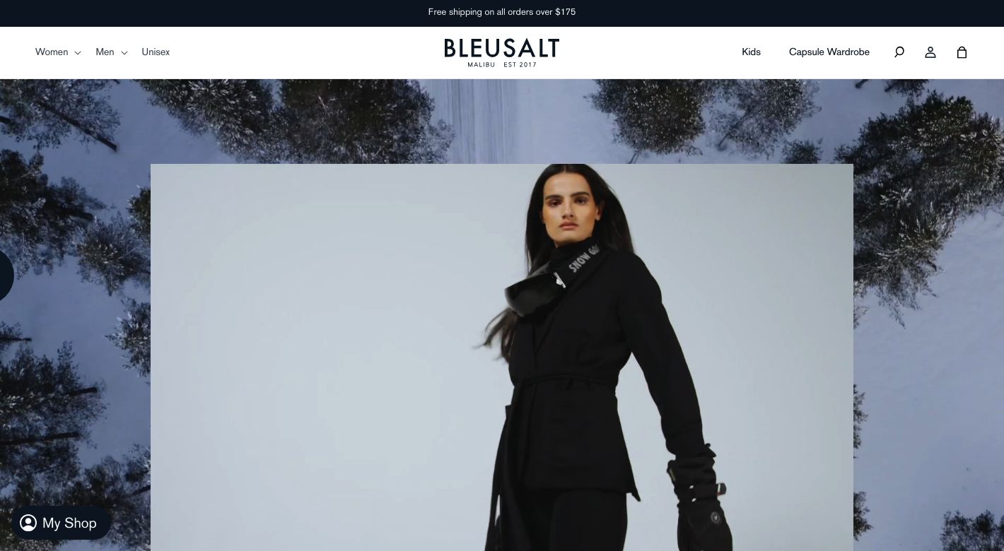 Bleusalt Website