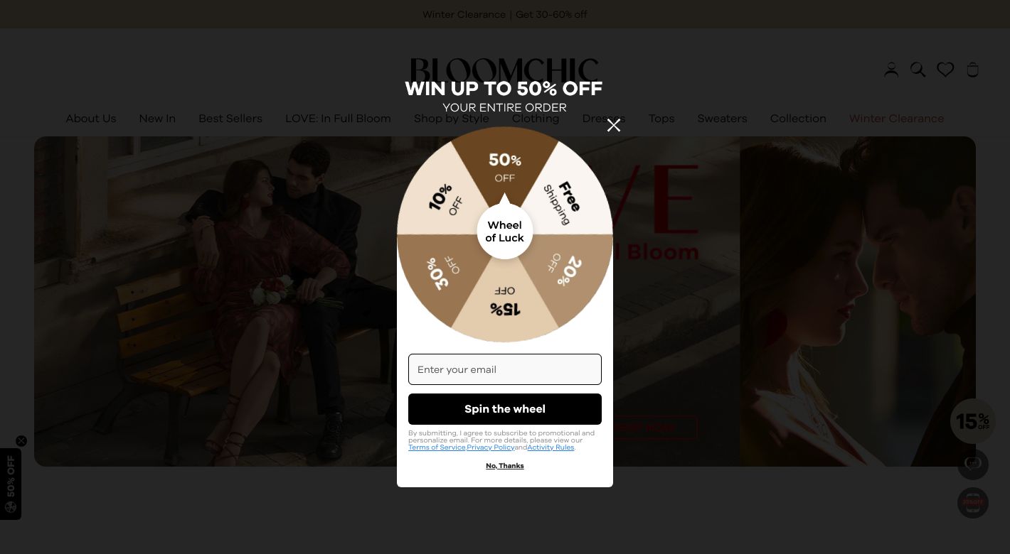 Bloomchic Website