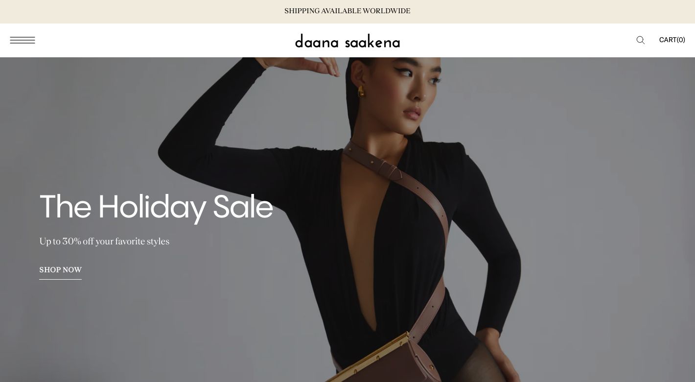 daana saakena Website