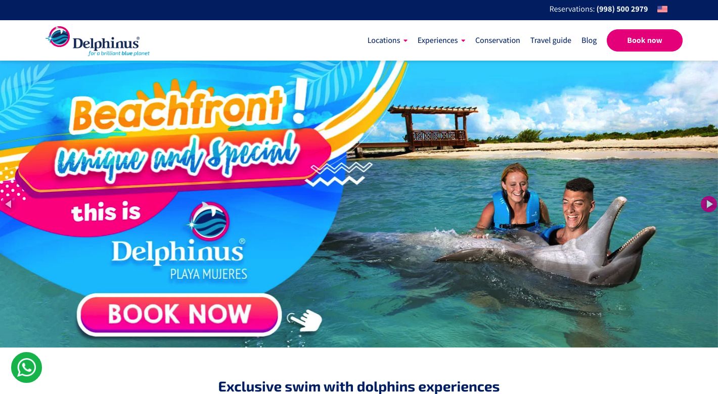 Delphinus Website