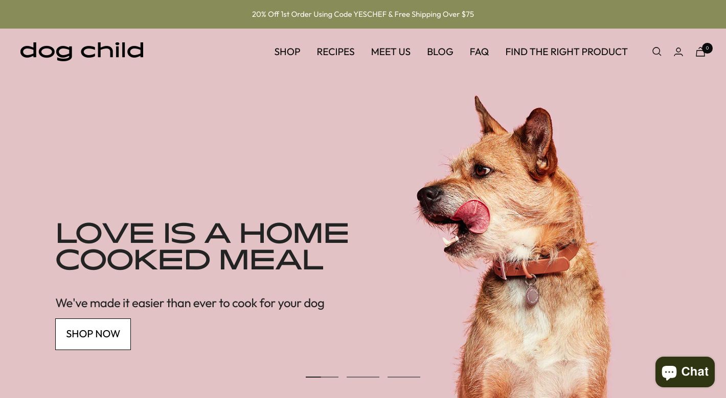 Dog Child Website