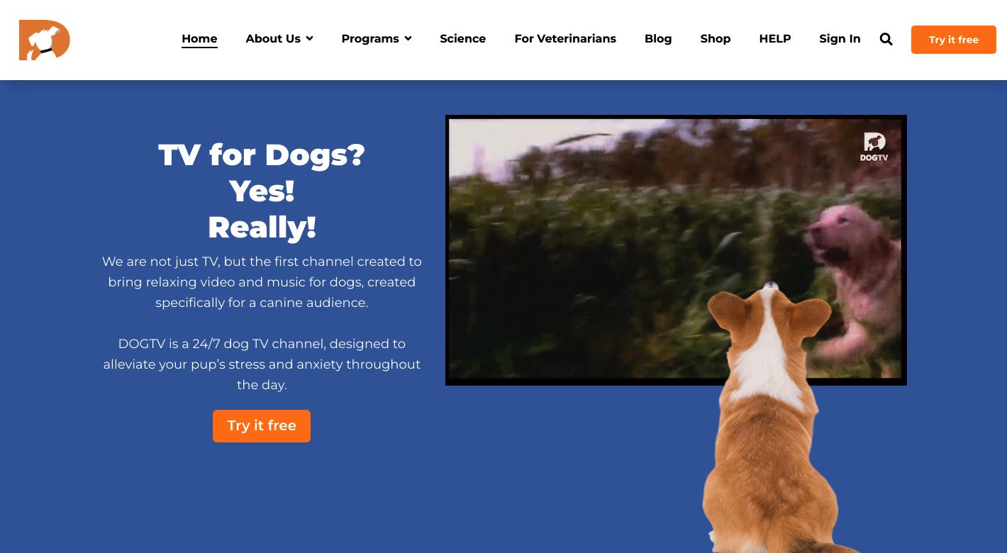 DOGTV Website