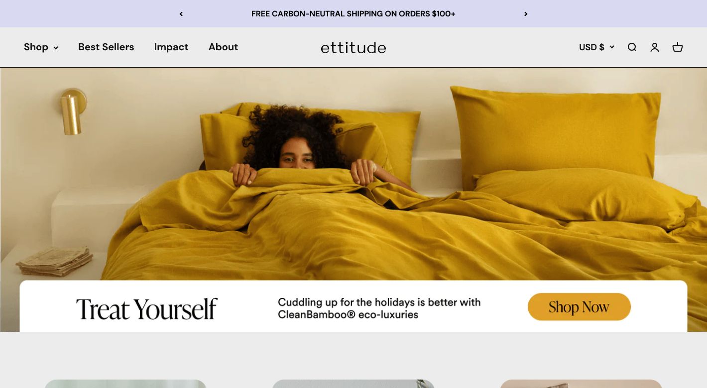 ettitude Website