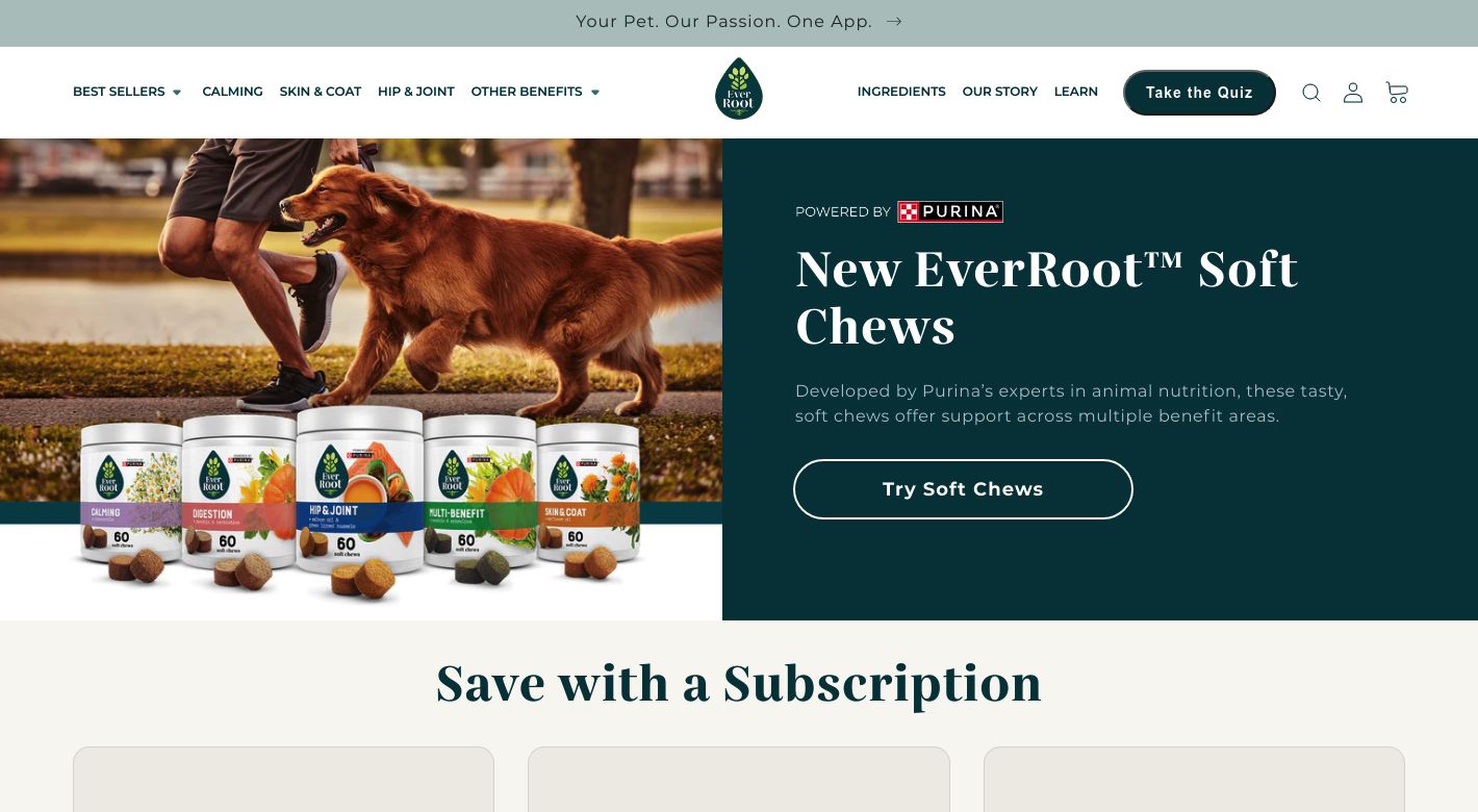 EverRoot Website