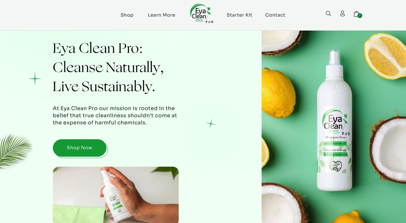 Eya Clean Pro Website