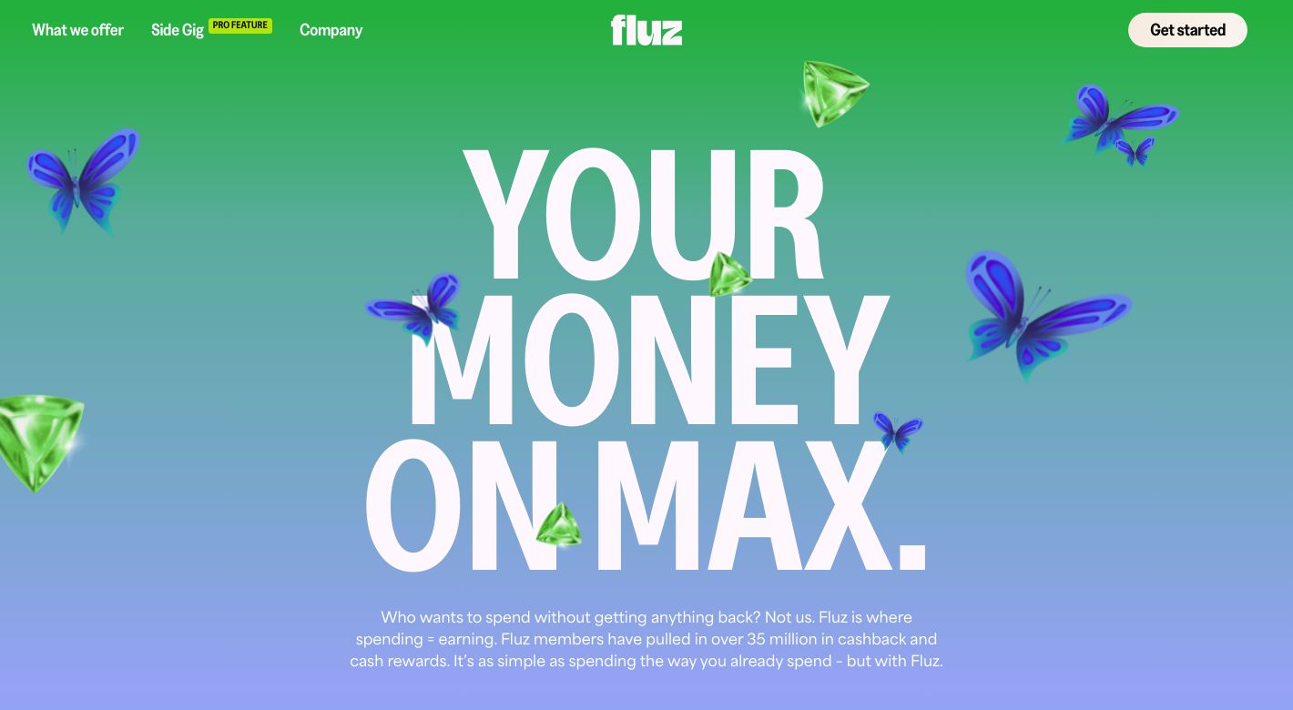 Fluz Website