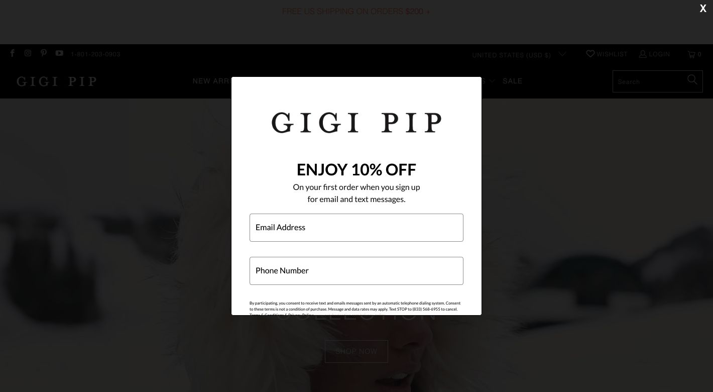 Gigi Pip Website