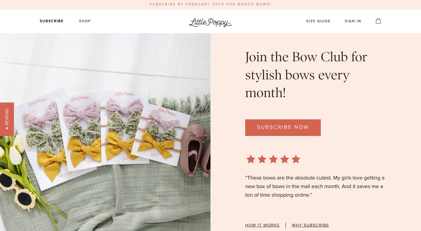 Little Poppy Co Website