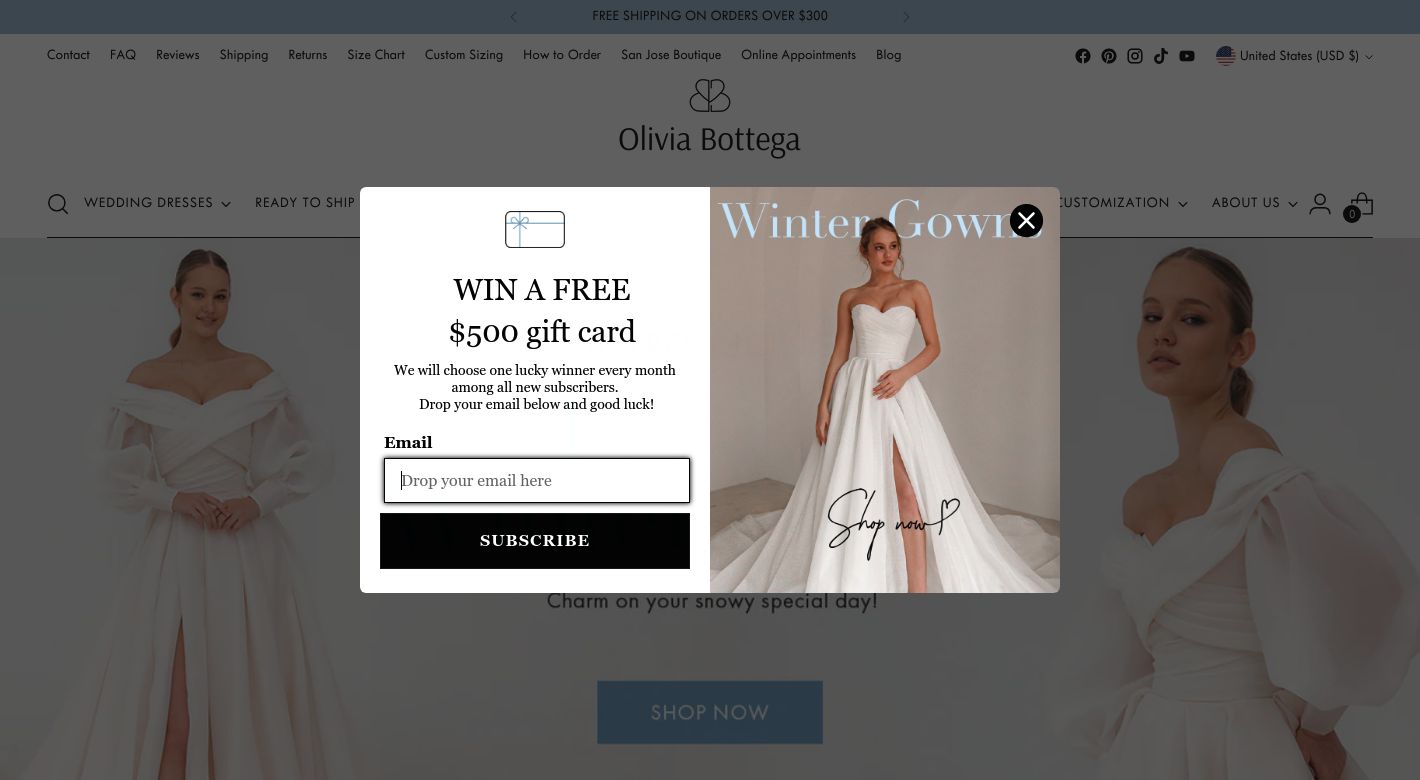 Olivia Bottega Website