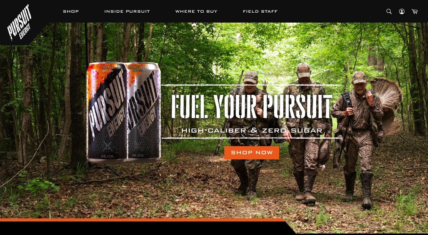 PURSUIT ENERGY Website