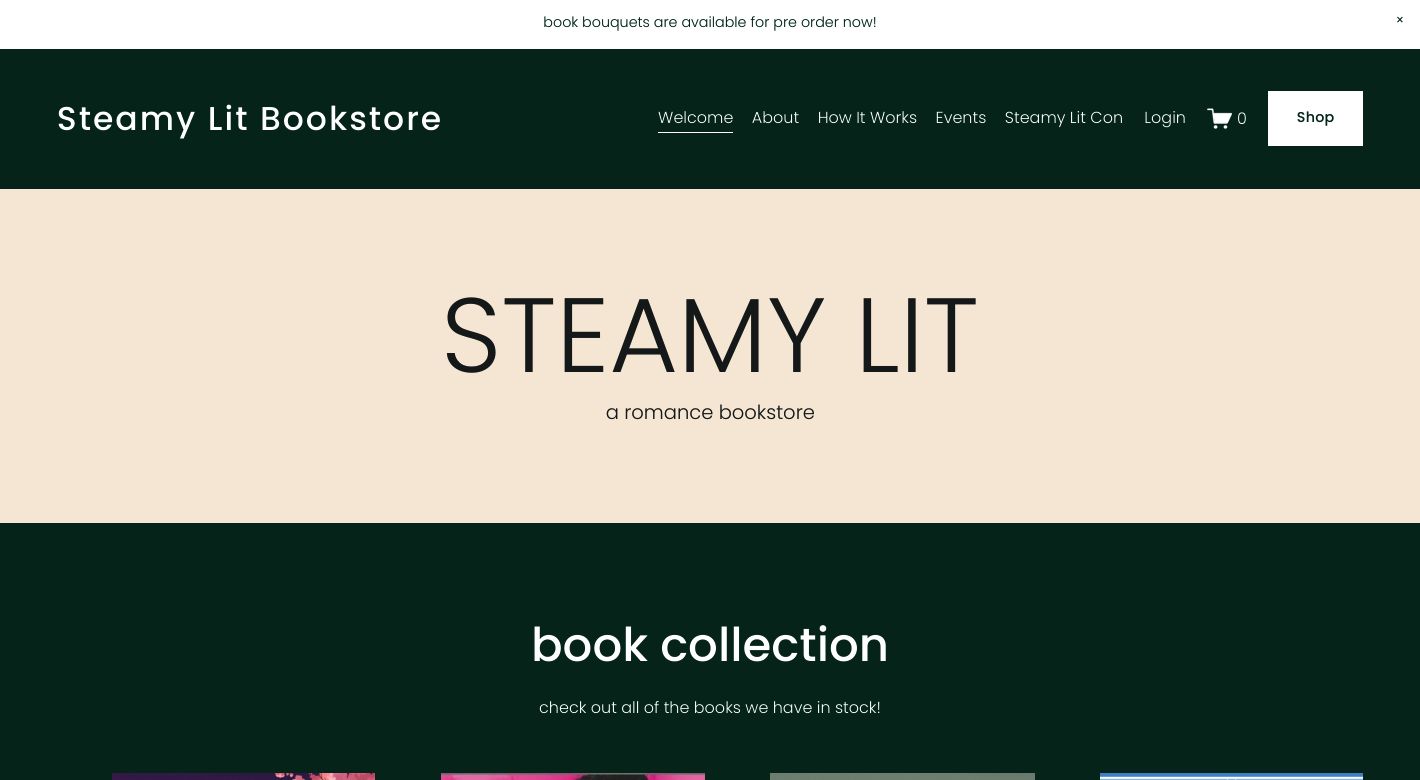 Steamy Lit Website