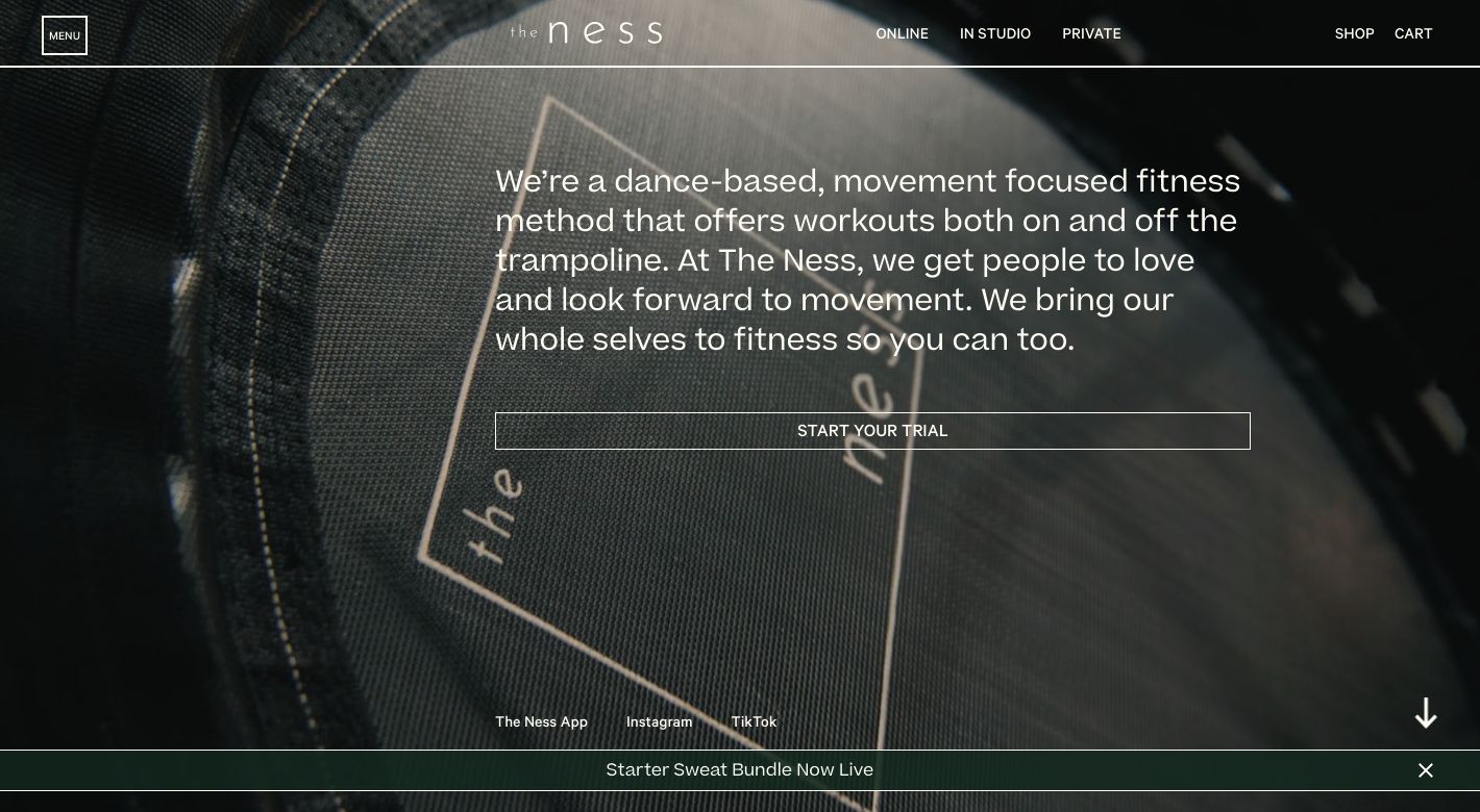 the ness Website