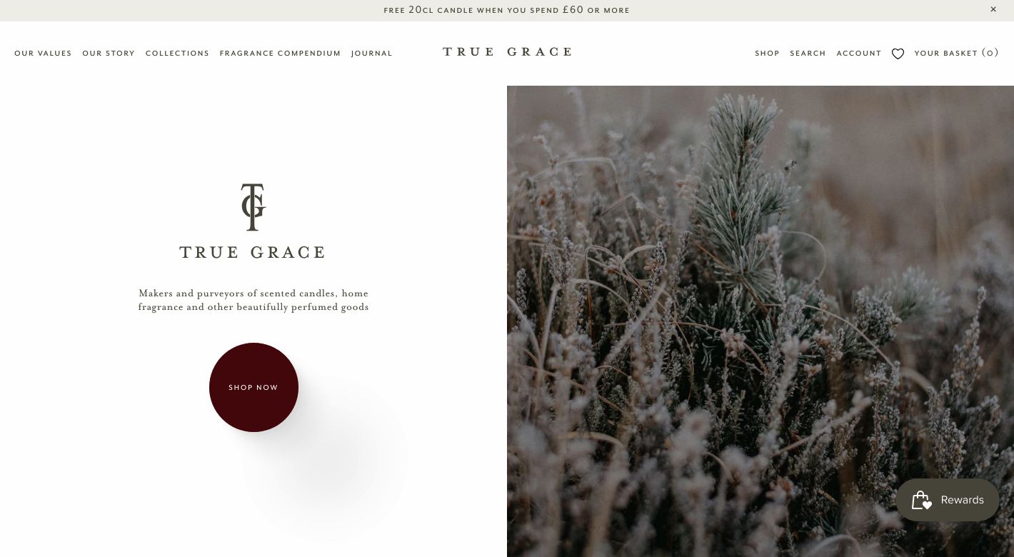 True Grace Website